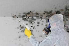 Best HVAC Mold Inspection and Cleaning  in Ainsworth, NE